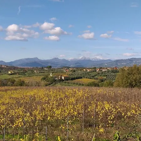 Le Vigne Di Apartment